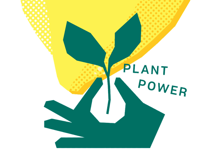 Plant power: a hand holding a sprout